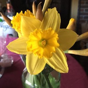 Meet your Posher, Donna